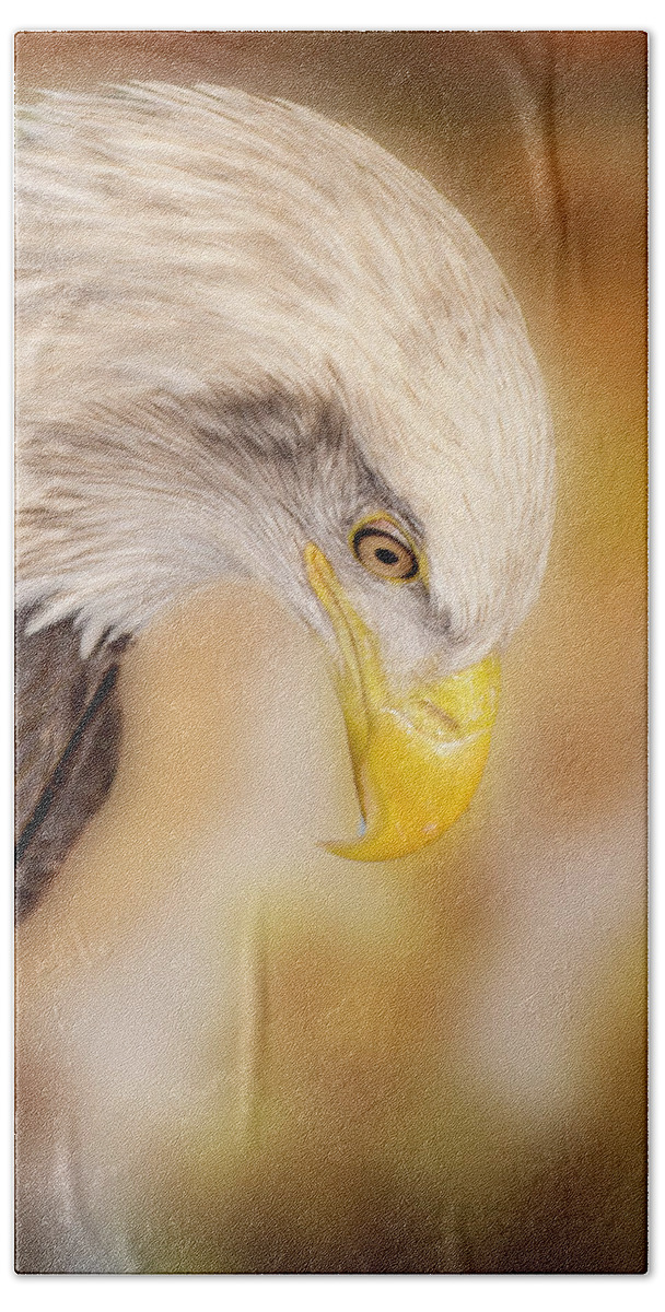 Bald Eagle Bath Towel featuring the photograph Bow Your Head and Prey by Bill and Linda Tiepelman