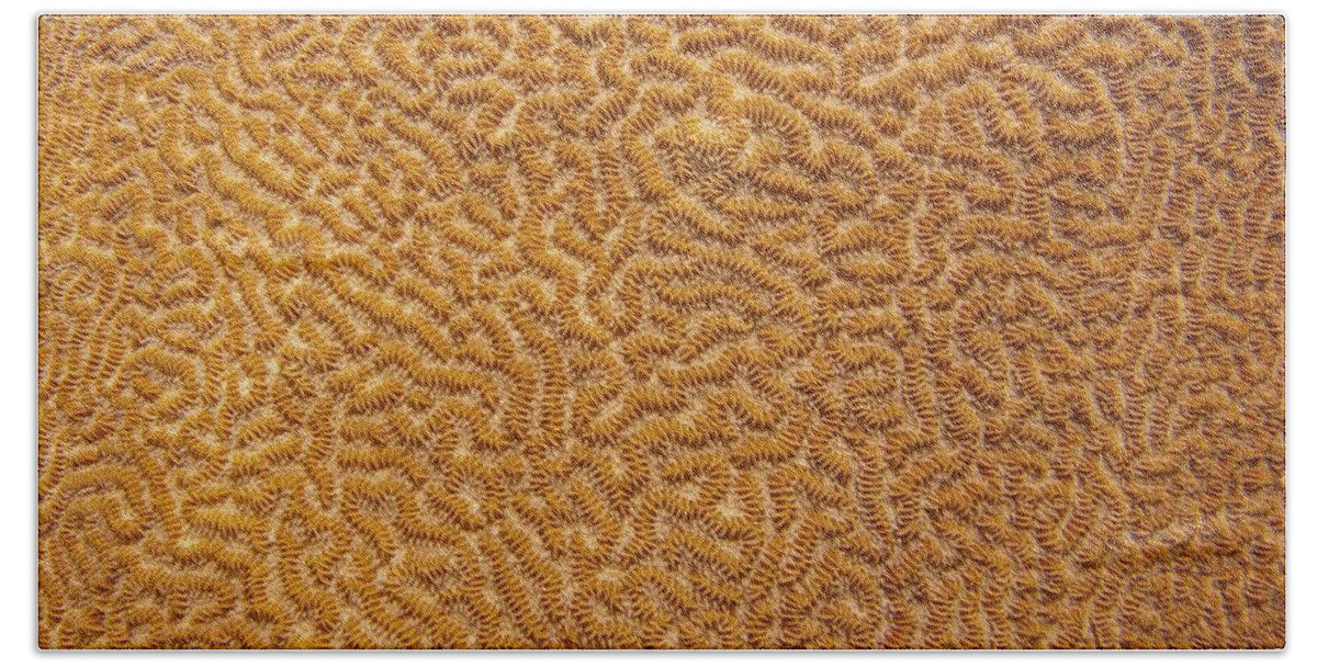 Texture Bath Towel featuring the photograph Brain Coral 47 by Michael Fryd