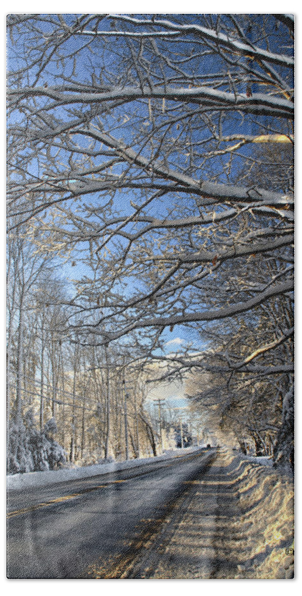 Winter Bath Sheet featuring the photograph Branched Out by Catherine Melvin