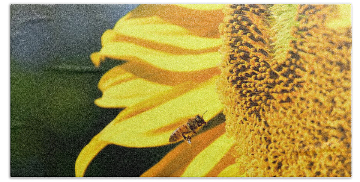 Mammoth Sunflowers Bath Towel featuring the photograph Breakfast Bee by Angela J Wright