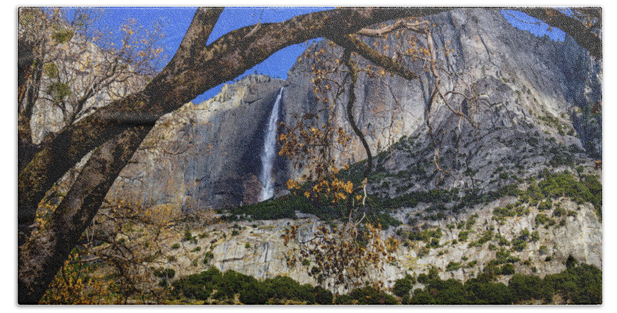  Fall Bath Towel featuring the photograph Yosemite Falls framed by tree branch by Roslyn Wilkins