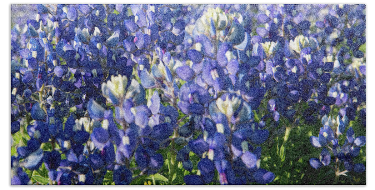 Bluebonnet Hand Towel featuring the photograph Bright Bluebonnets by Frank Madia