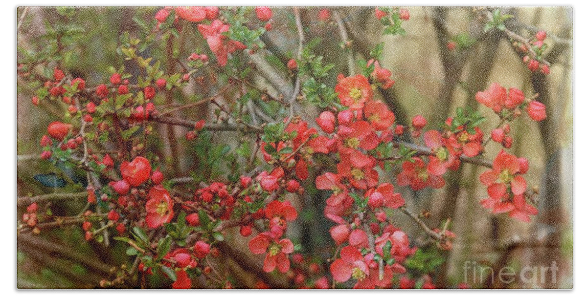 Japanese Quince Bath Towel featuring the photograph Brighten my garden by Yumi Johnson