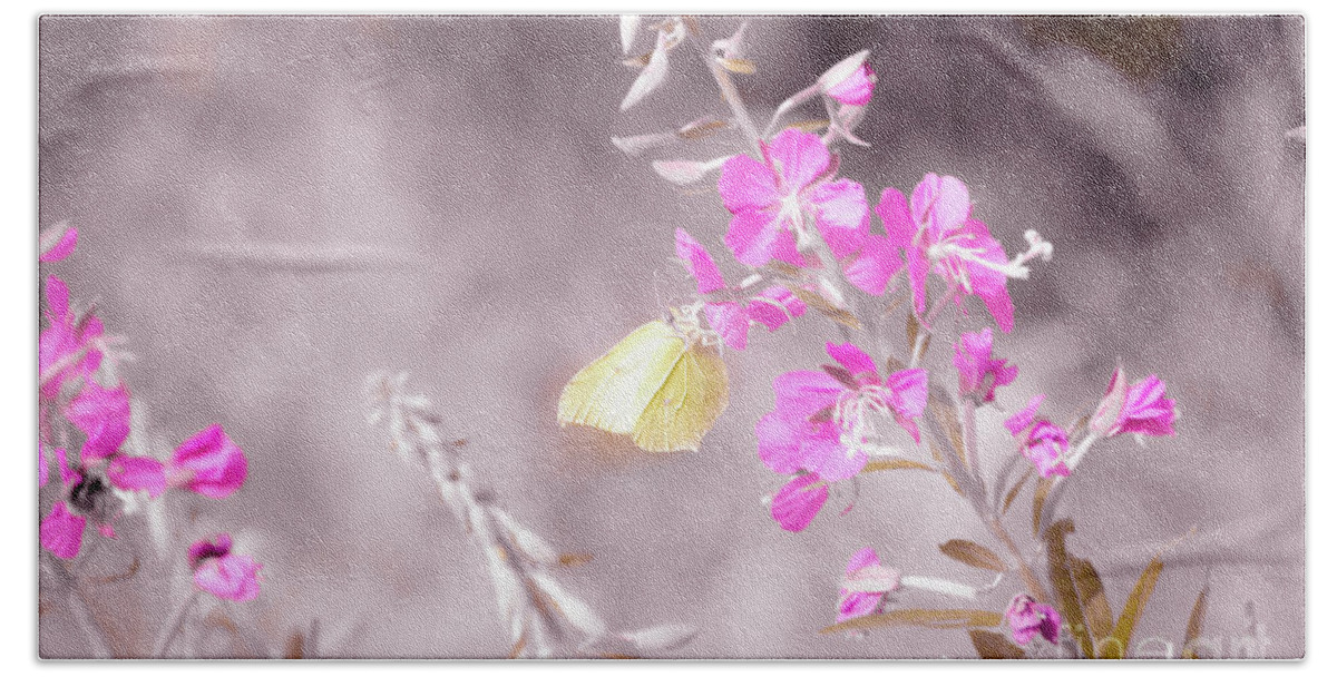 Animal Bath Towel featuring the photograph Brimstone butterfly by Amanda Mohler