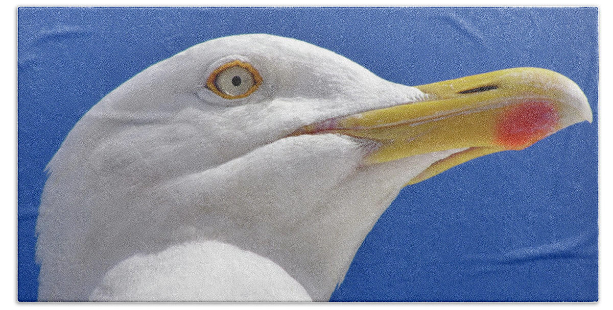 Bird Bath Towel featuring the photograph British Herring Gull by Terri Waters