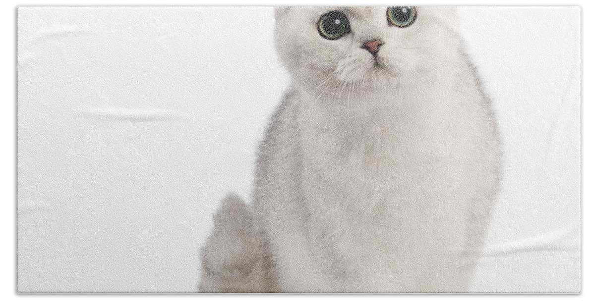Cat Bath Towel featuring the photograph British Longhair Cat by Jean-Michel Labat
