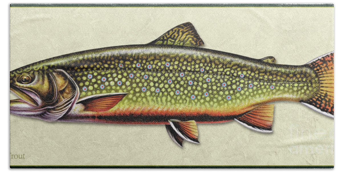 Jon Q Wright Fish Id Print Brook Trout Flyfishing Fly Freshwater Hand Towel featuring the painting Brook Trout ID by Jon Q Wright