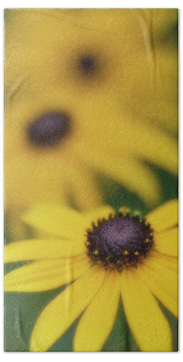 Flower Bath Towel featuring the photograph Brown Eyed Susan by Bob Cournoyer