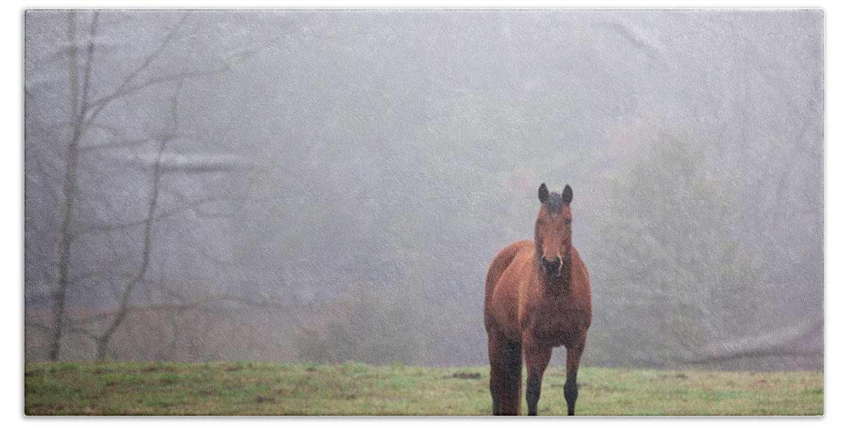 Brown Bath Towel featuring the photograph Brown horse in Virginia Fog by Jack Nevitt