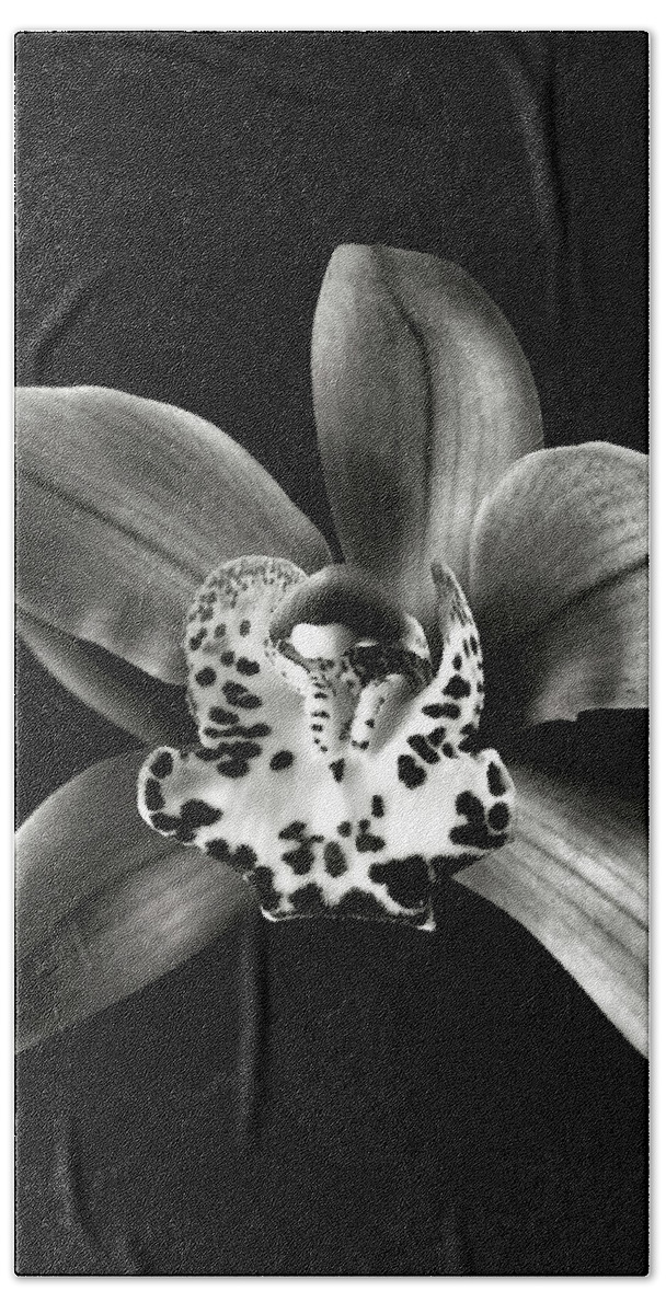 Flower Bath Towel featuring the photograph Brown Orchid in Black and White by Endre Balogh
