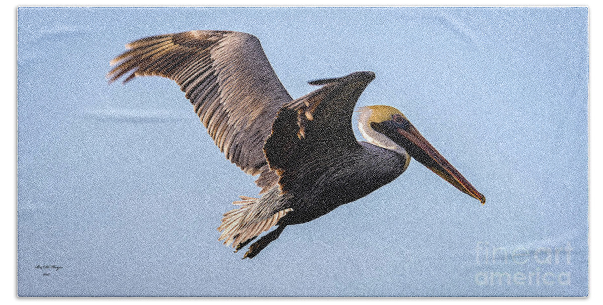 Nature Hand Towel featuring the photograph Brown Pelican In Flight - Pelecanus Occidentalis by DB Hayes