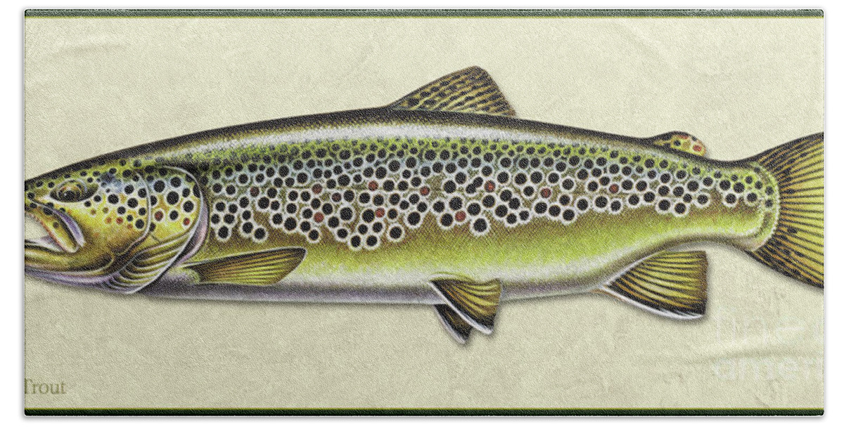 Jon Q Wright Fish Id Print Brown Trout Flyfishing Fly Freshwater Hand Towel featuring the painting Brown trout ID by Jon Q Wright