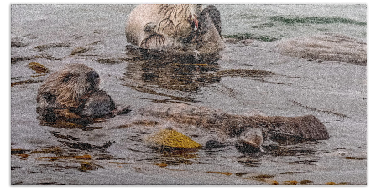 Sea Otter Bath Towel featuring the photograph Brunch by Derek Dean