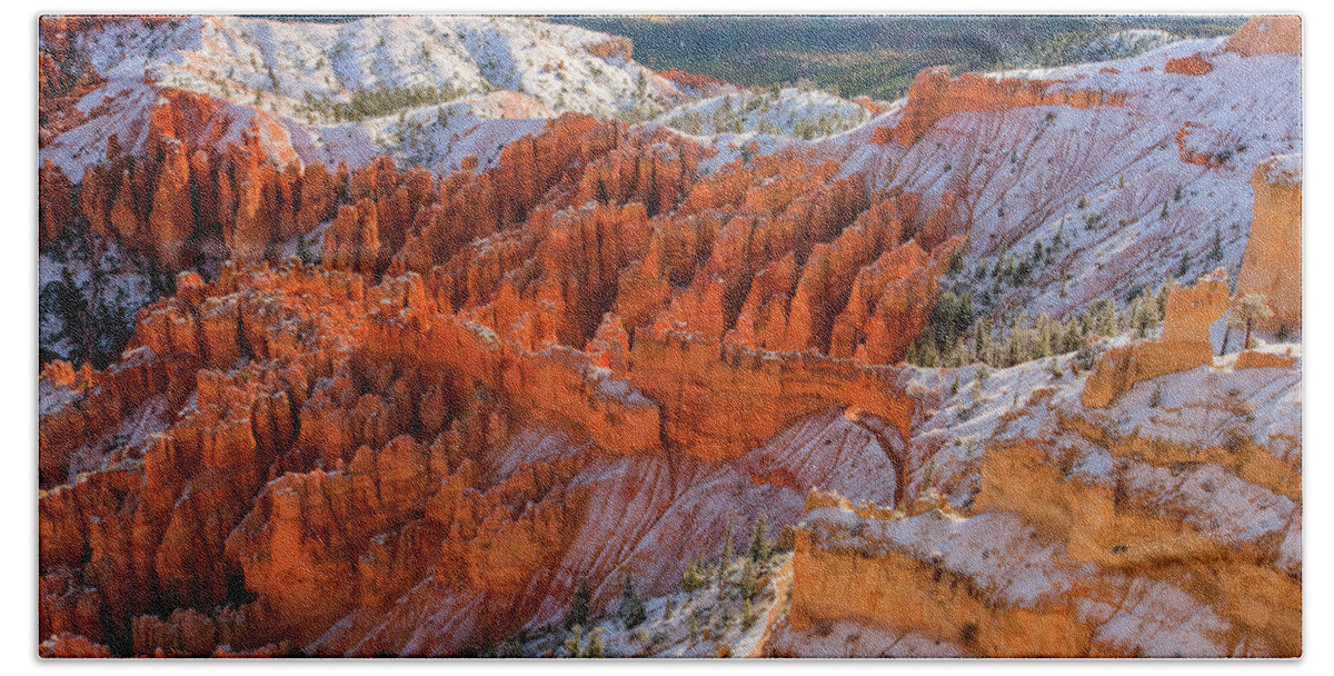 Canyon Hand Towel featuring the photograph Bryce Canyon by John Roach