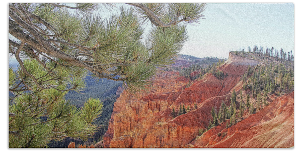 Bryce Canyon Bath Towel featuring the photograph Bryce Canyon National Park Pinyon Pine by Jennie Marie Schell