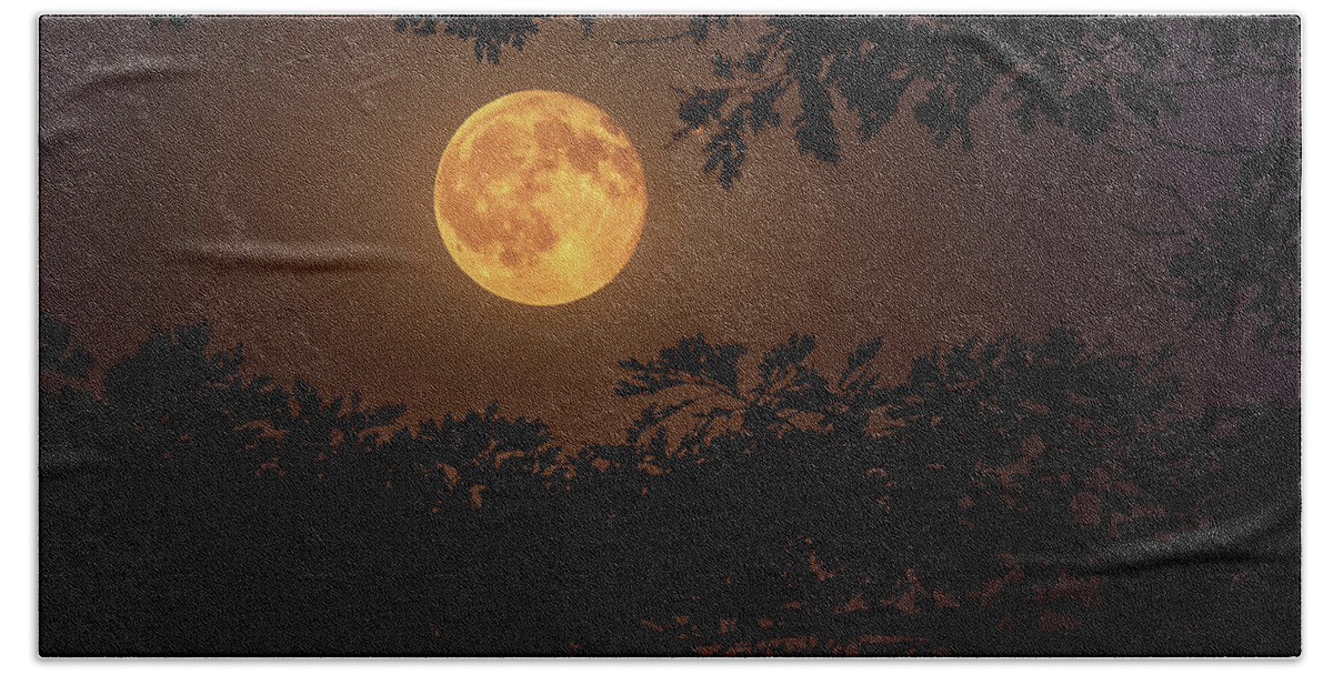 Moon Bath Towel featuring the photograph Buck Moon 2016 by Everet Regal