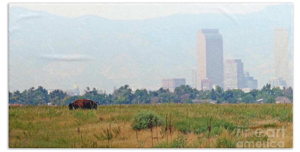 Buffalo Bath Towel featuring the photograph Buffalo and Colorado State Capitol 0056 by Jack Schultz