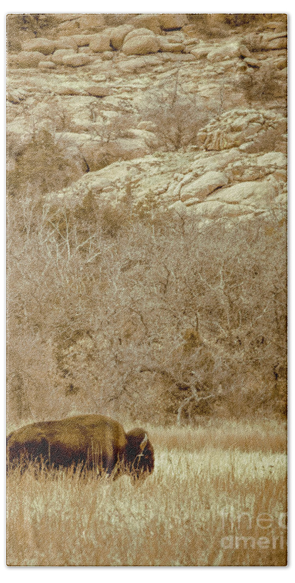 Animal Bath Towel featuring the photograph Buffalo And Rocks by Robert Frederick