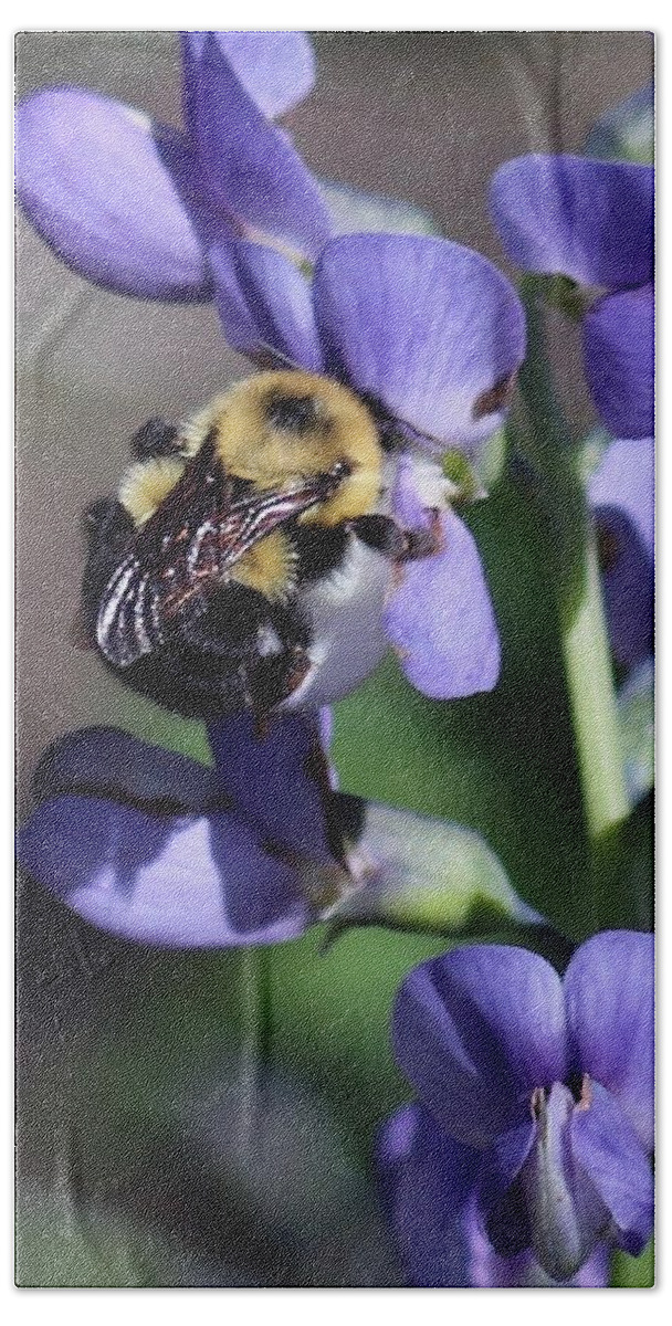 Bumble Bee Hand Towel featuring the photograph Bumble Bee, Blue Indigo by Sarah Lilja