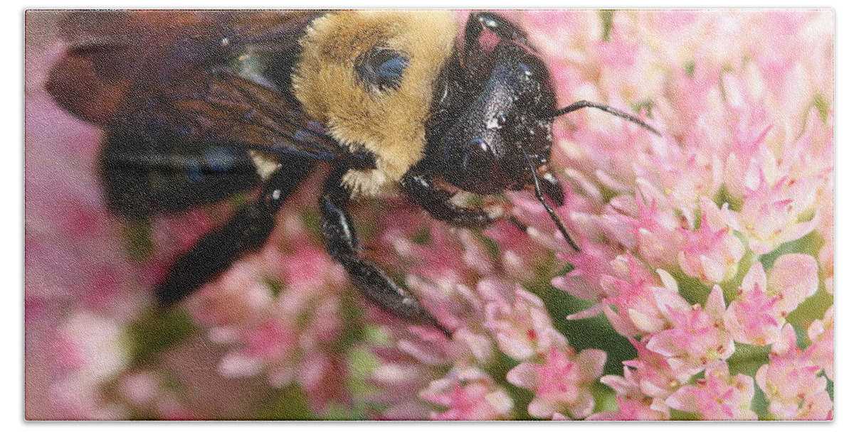 Bee Bath Towel featuring the photograph Bumble Bee Macro by Angela Rath