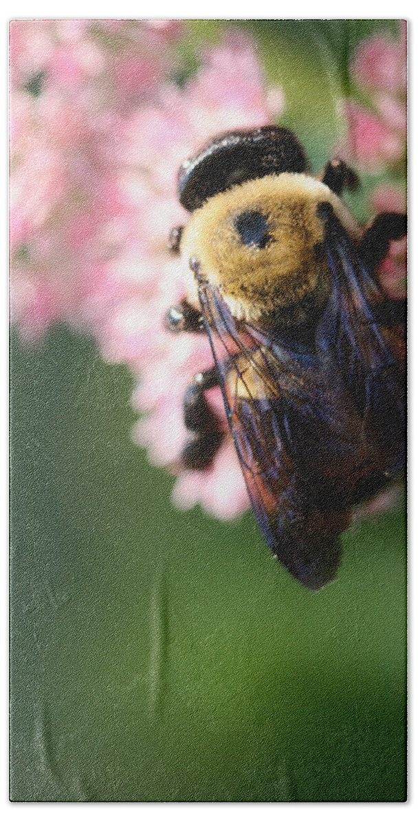 Bee Bath Towel featuring the photograph Bumble from Above by Angela Rath