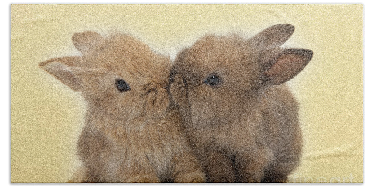 Two Bath Towel featuring the photograph Bunny Kisses by Warren Photographic