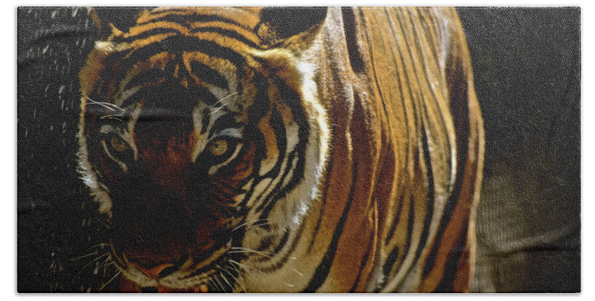 Tiger Bath Towel featuring the photograph Burning Bright by Melisa Elliott