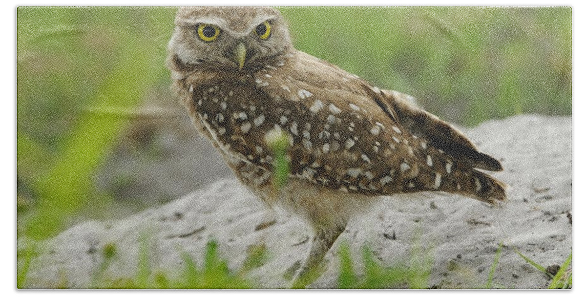 Owl Bath Towel featuring the photograph Burrowing Owl by Burrow Mound by Bradford Martin