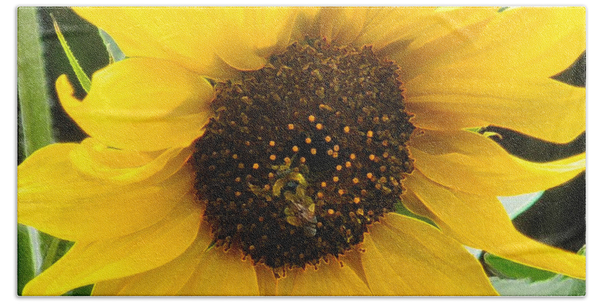 Bee Bath Towel featuring the photograph Busy Bee II by Sonya Chalmers