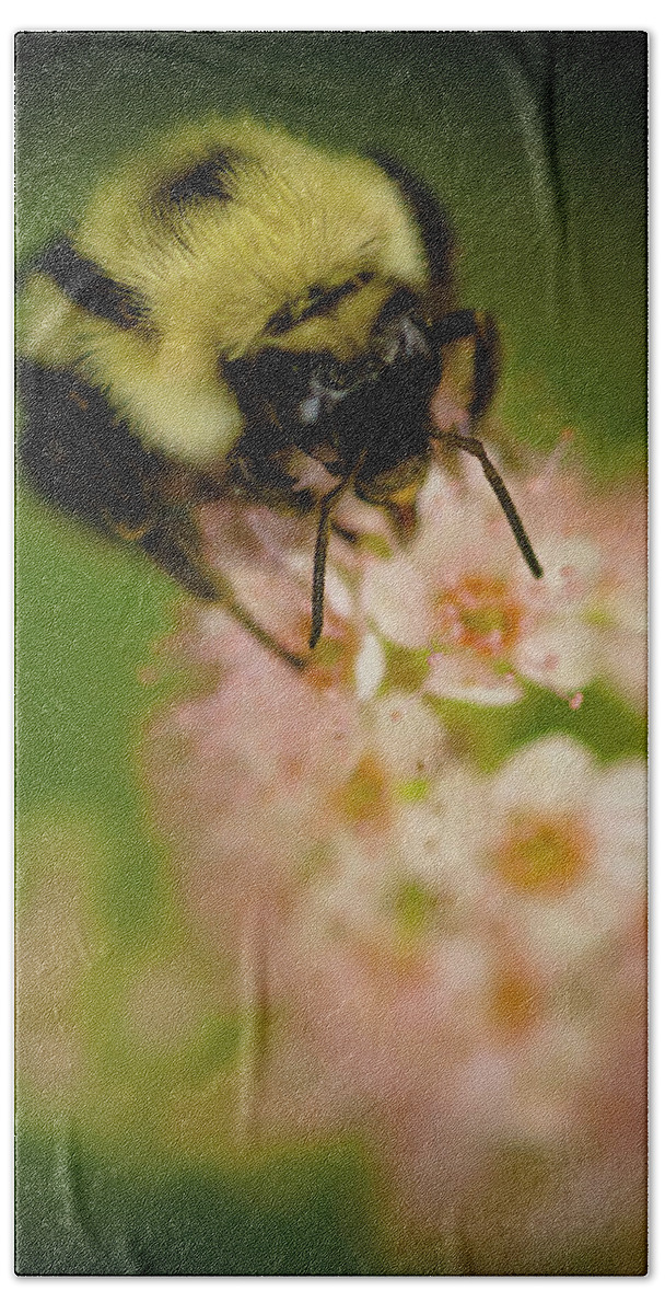 Bee Bath Towel featuring the photograph Busy Bee by Sebastian Musial