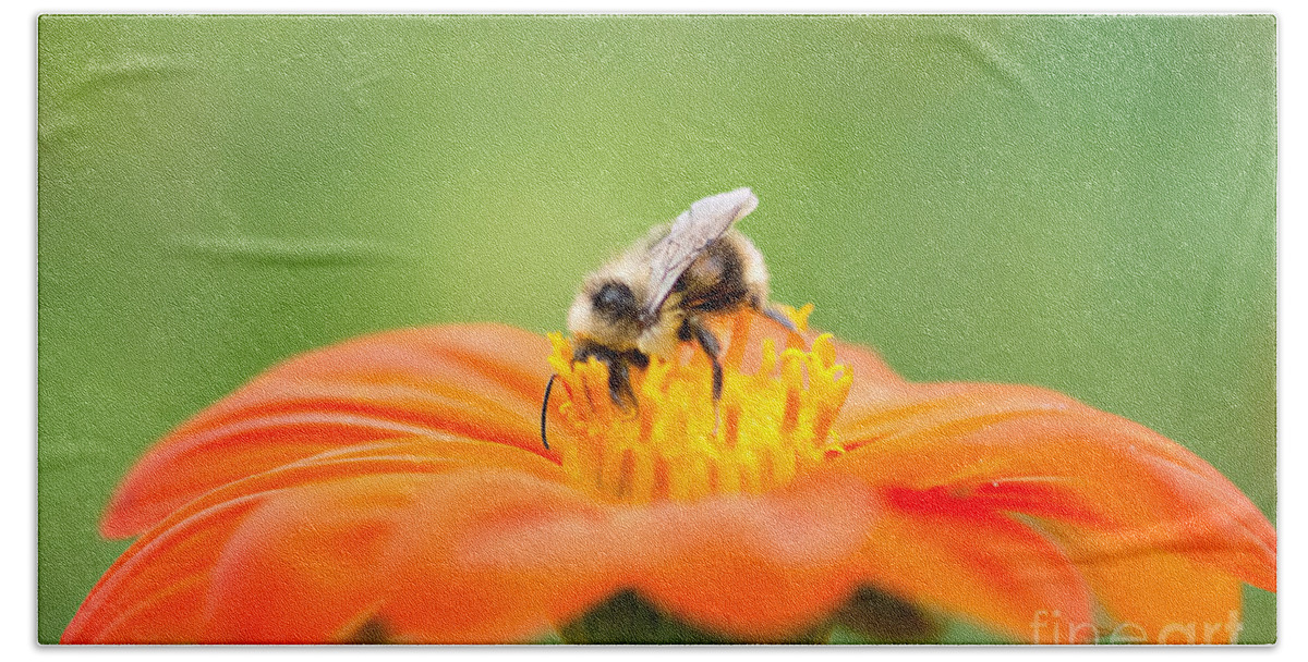 Bee Bath Towel featuring the photograph Busy Bee by Susan Garver