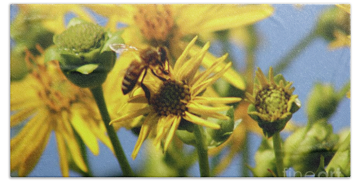 Bee Bath Towel featuring the photograph Busy Bee by Alice Terrill