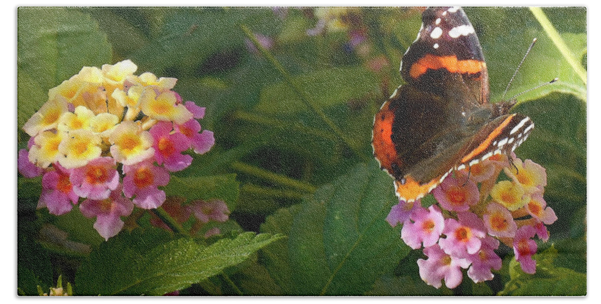 Monarch Butterfly Bath Towel featuring the photograph Busy Butterfly Side 1 by Felipe Adan Lerma