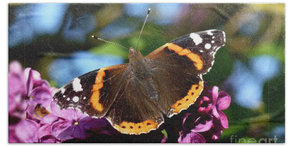 Beautiful Bath Towel featuring the photograph Butterfly 12 by Jean Bernard Roussilhe