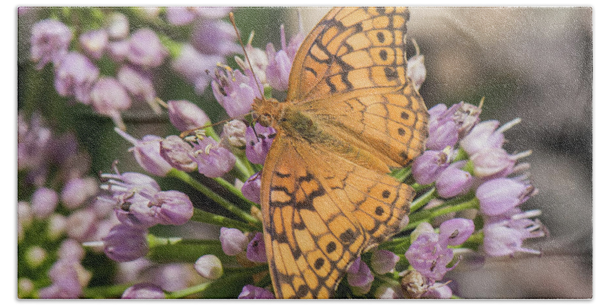 Natanson Bath Sheet featuring the photograph Butterfly 2 by Steven Natanson