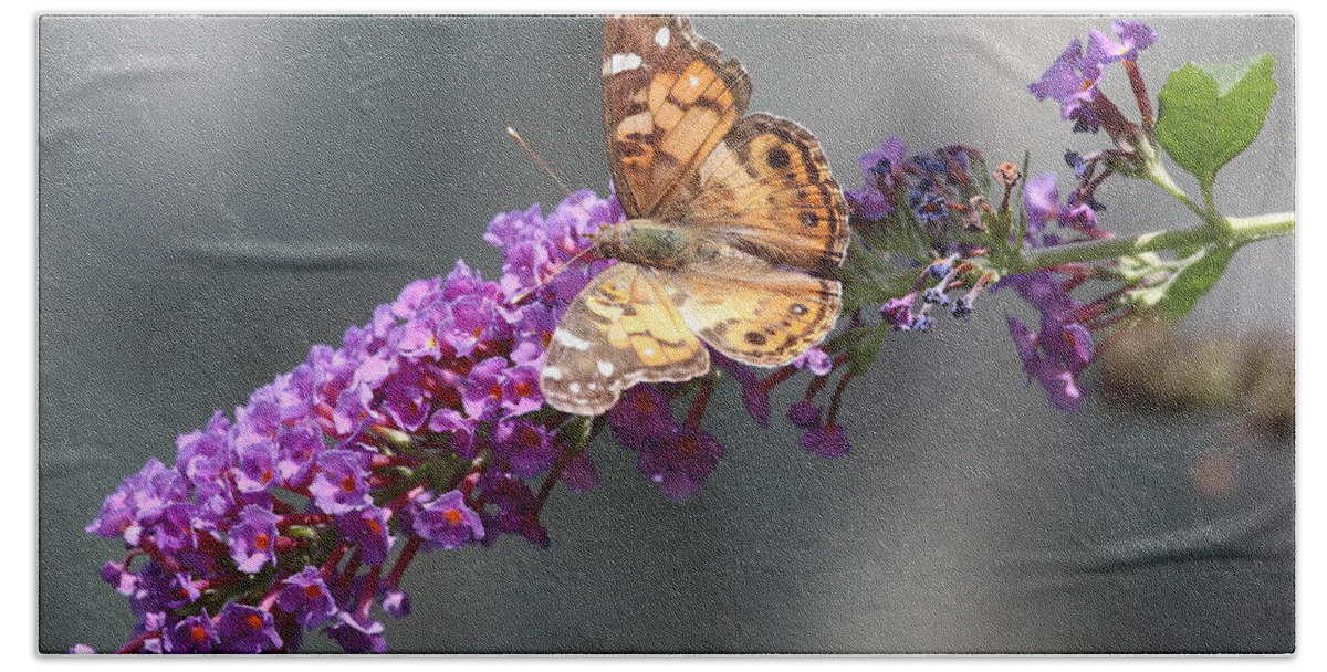 Butterfly 3 Bath Towel featuring the photograph Butterfly 3 by Shannon Louder