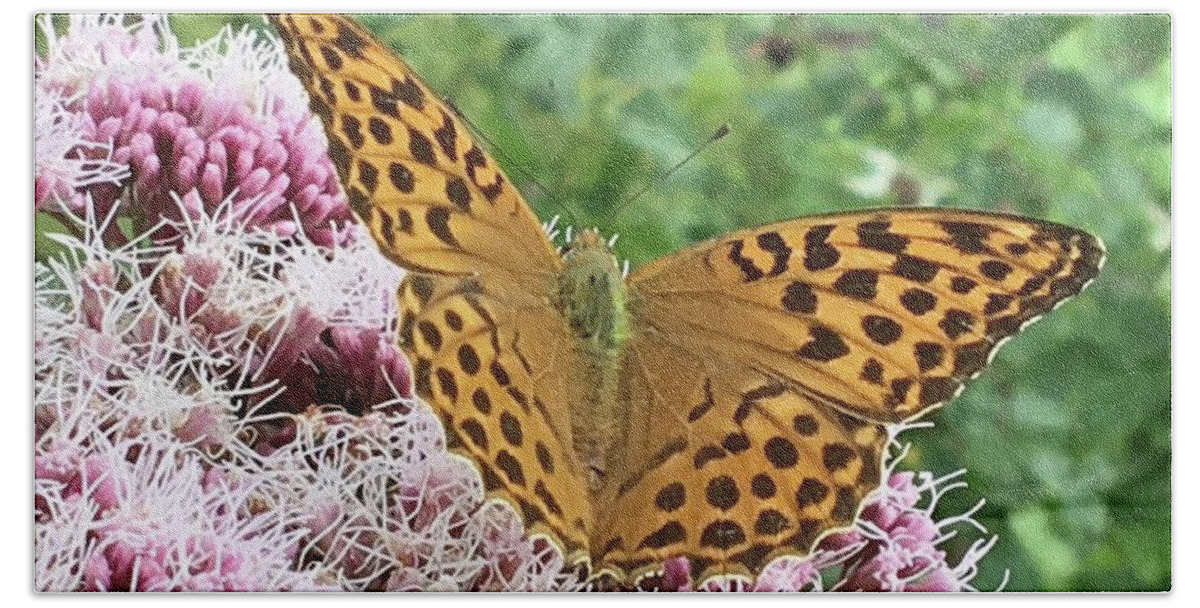 Butterfly Hand Towel featuring the photograph Butterfly Argynnis paphia by Eva-Maria Di Bella