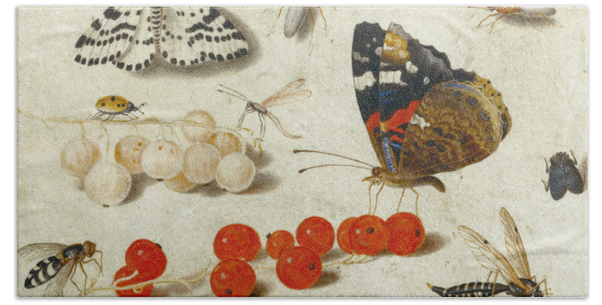 Butterfly Bath Towel featuring the painting Butterfly, Caterpillar, Moth, Insects and Currants by Jan Van Kessel