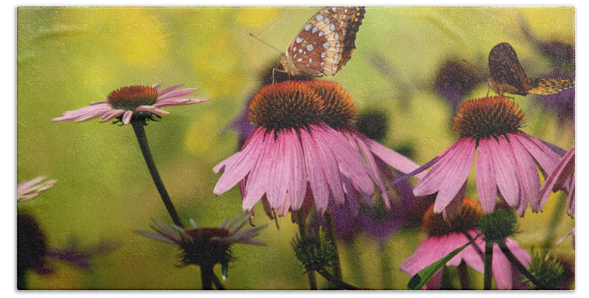 Flowers Hand Towel featuring the photograph Butterfly In A Field Of Dreams by Dorothy Lee