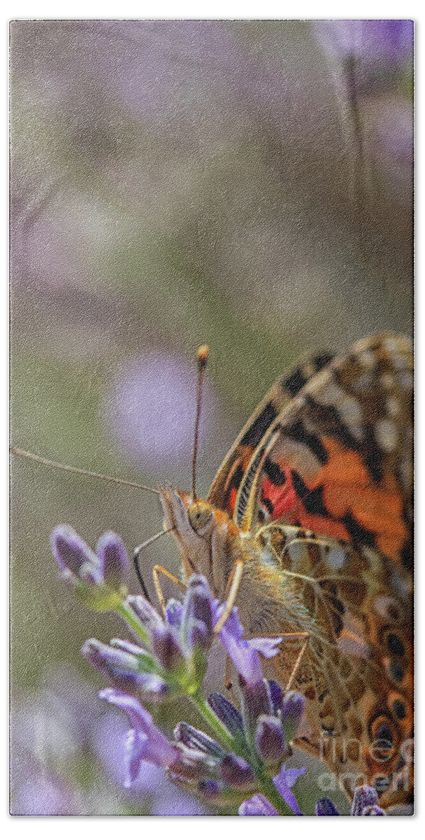 Flower Bath Towel featuring the photograph Butterfly in close up by Patricia Hofmeester