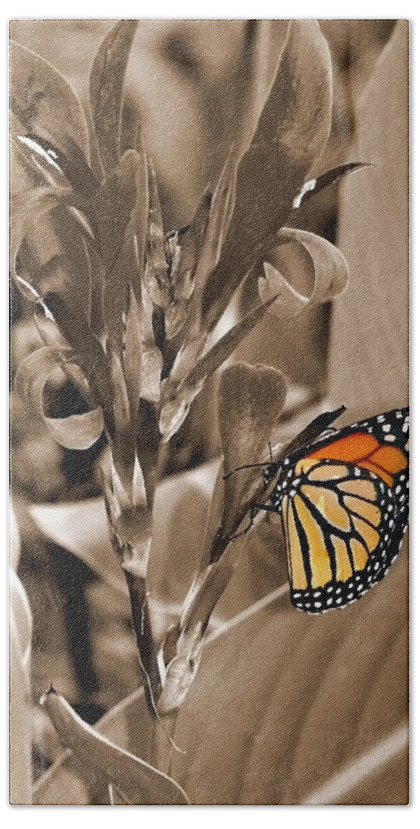 Macro Hand Towel featuring the photograph Butterfly in Sepia by Lauren Radke