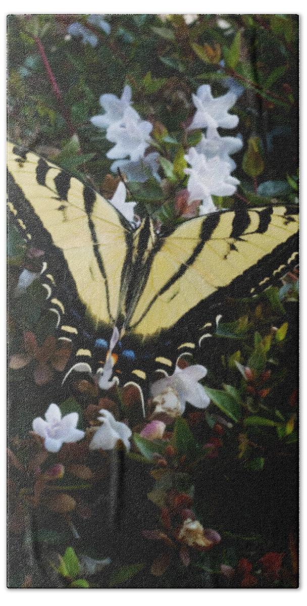Butterfly Bath Towel featuring the photograph Butterfly by Kelley King