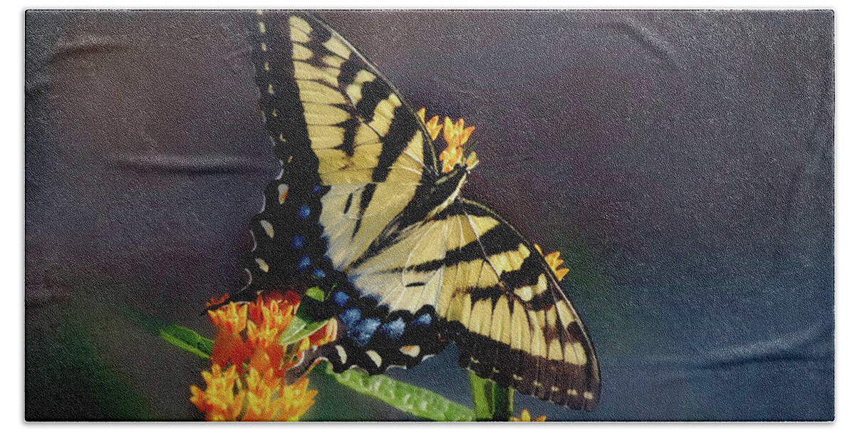 Butterfly Bath Towel featuring the photograph Butterfly Landing by Andrea Platt