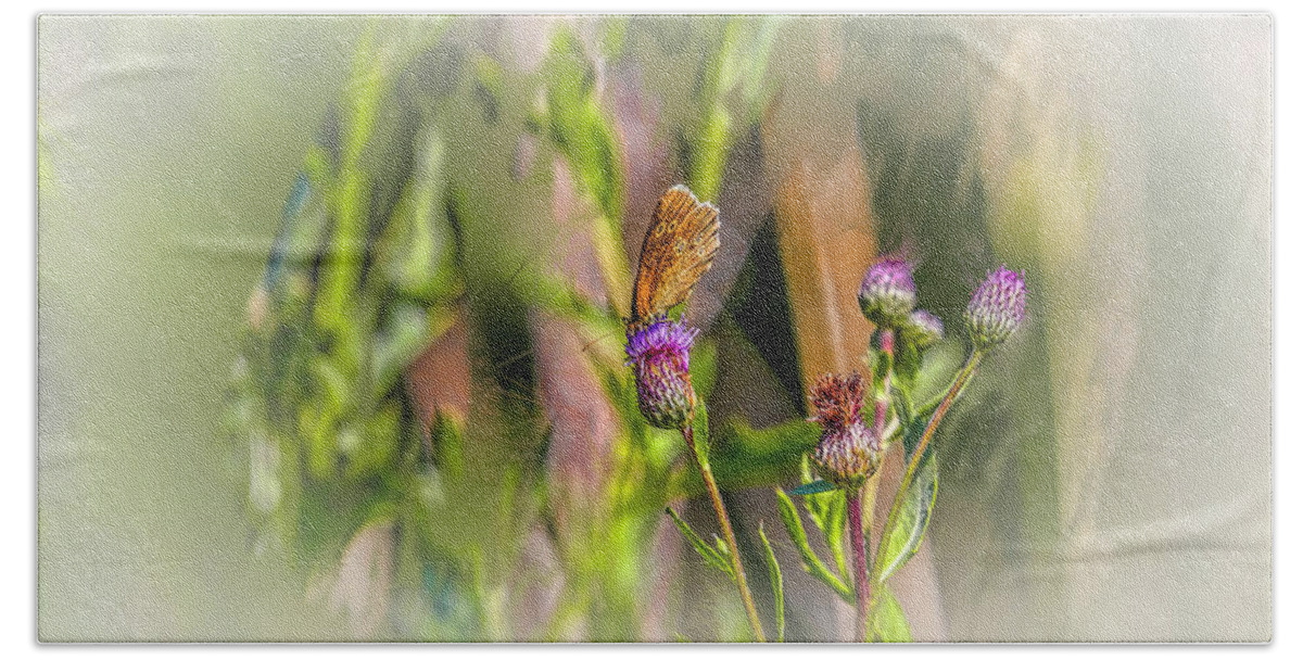 Butterfly On Thistle Bloom Hand Towel featuring the photograph Butterfly on thistle bloom @h7 by Leif Sohlman