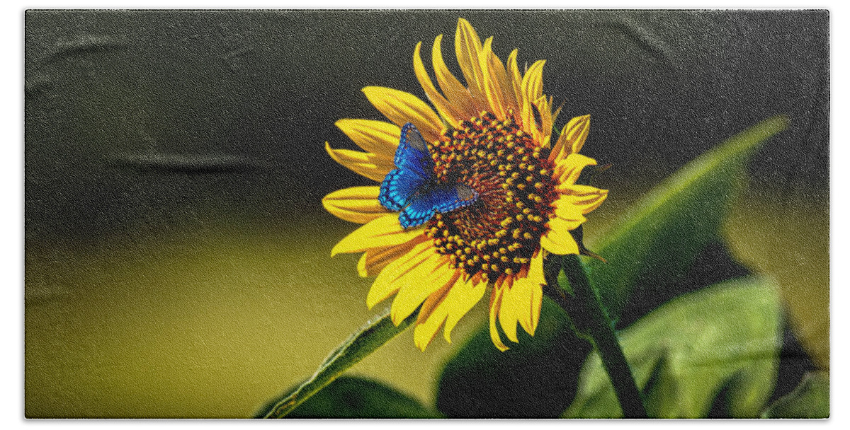 American Bath Towel featuring the photograph Butterflys-N-Flowers by Doug Long