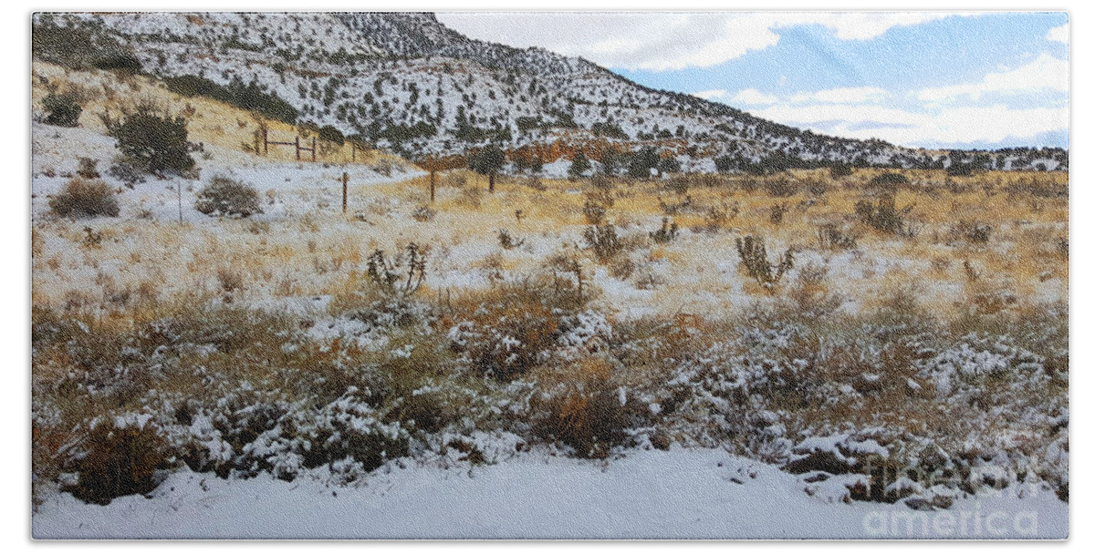 Southwest Landscape Bath Towel featuring the photograph Cactus in the snow by Robert WK Clark