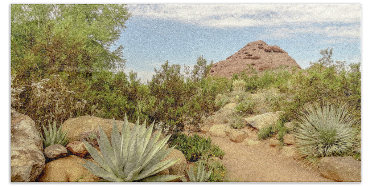 Cactus Bath Towel featuring the photograph Cactus trail by Darrell Foster