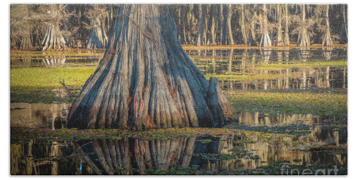 America Bath Towel featuring the photograph Caddo Cypress Trunk by Inge Johnsson