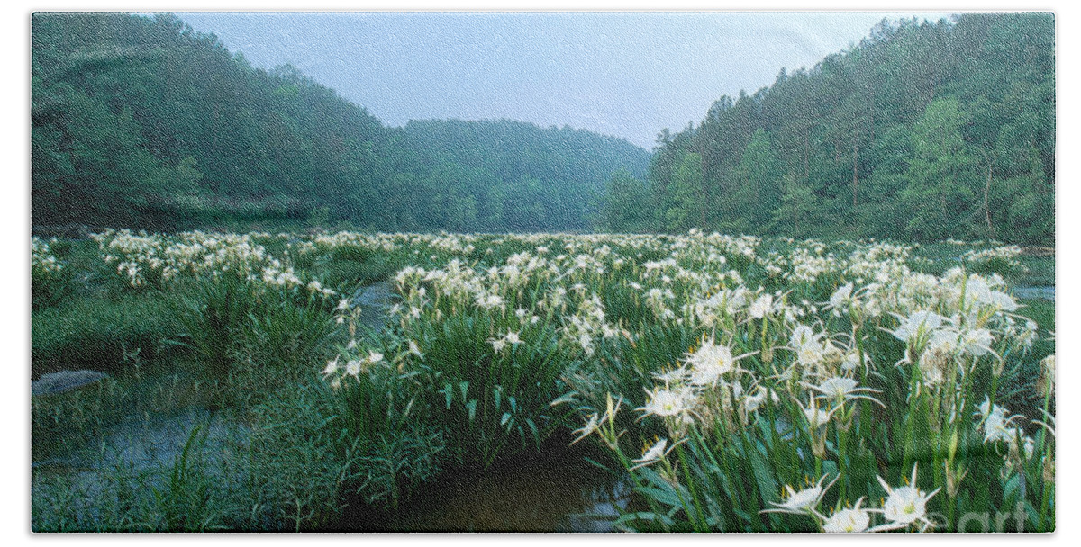 Cahaba River Bath Towel featuring the photograph Cahaba River With Lilies by Jeffrey Lepore