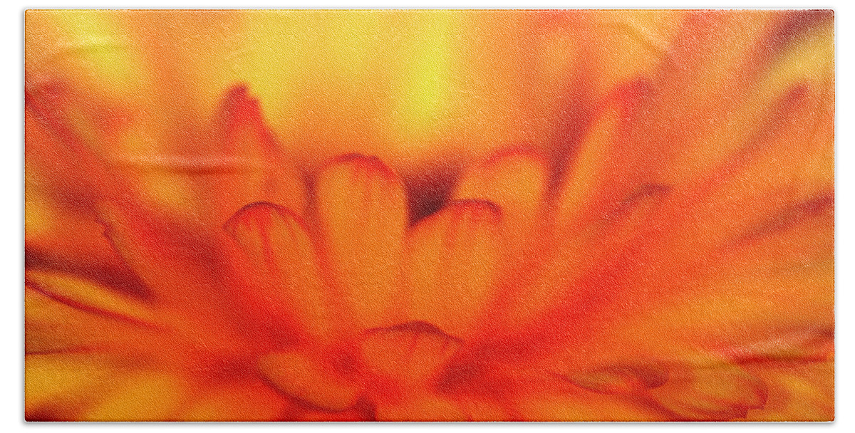 Calendula Flower Orange Yellow Fire Burning Close-up Garden Spring Summer Hand Towel featuring the photograph Calendula by Ian Sanders